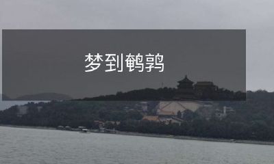 在一个美丽的夏日午后，我沉浸在田野的清新气息中，迈着轻盈的步伐漫步在大自然中，突然，一群可爱的鹌鹑出现在我的梦中，让我沉浸在温馨的梦境中，感受到了生命的美好和自然的神奇