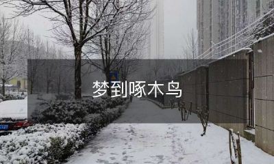 在清晨醒来的时候，发现自己曾经梦见一只啄木鸟，它在树干上不停地敲打着，并令你感到无法置信的喜悦和震惊！