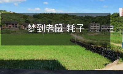 在睡眠中遇到老鼠和耗子的梦境：意义与解析