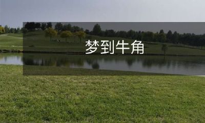 在梦中见到牛角，意味着什么？探讨梦境中牛角的象征意义与内涵