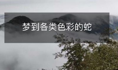 在梦中遇见身披五颜六色光芒的巨蛇们