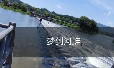 梦见在河边发现了一只河蚌，意味着什么？