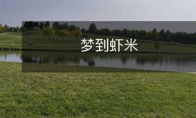 在梦中遇见了神秘的虾米，它们带来了怎样的预兆和启示？