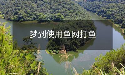 在梦中使用鱼网捕捞鱼类的奇妙经历