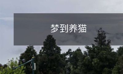 的意义及其探究——猫的象征意义与在梦境中的出现表达的暗示分析