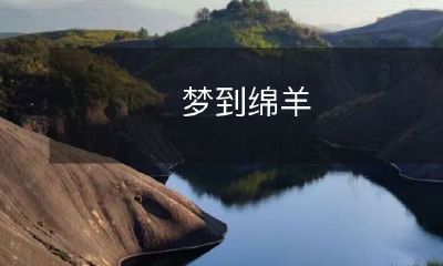 在寂静黑夜中的美好梦境：迷失在梦中的主人公所遇见的绵羊群以及这场奇妙之旅