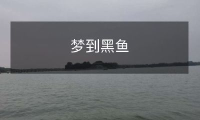 在梦中看到一条黑色的鱼 - 我的梦境和深层心理启示