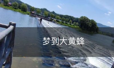 在梦境中遭遇凶猛的大黄蜂：一位人类的梦中冒险之旅