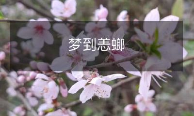 梦见恙螂：一位人类梦中经历的极其生动的昆虫互动体验