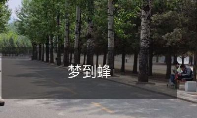 袭人的美好之夜：沉浸在梦中，惊醒于「梦中有蜜蜂，醒来依然残留」的奇妙体验