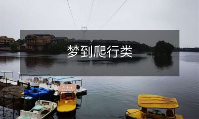 动物的梦境：满是爬行类生物的神秘世界