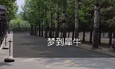 在梦中与犀牛相遇：挑战恐惧、探索未知、掌握内心力量的奇妙启示