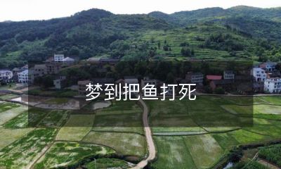 在梦中，我竟然以惊人的技巧将一条鱼打死，这是一场不同寻常的梦幻场景！