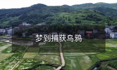 在梦中逐影而行：探究心灵深处的神秘与矛盾，启示灵感的源泉——梦中捕获乌鸦的寓意和象征意义