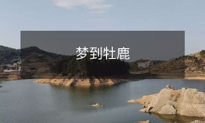 我在深夜梦见了一只闪耀着金色光芒的华丽牡鹿：走进奇幻森林的神秘梦境之旅