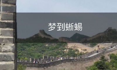 在黑暗的梦境中，探寻神秘的蜥蜴，与她共舞于幽深的森林中