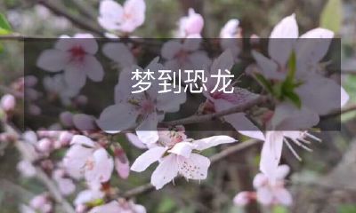 在梦中与逼真恐龙的遭遇：生动而惊险的梦境回忆