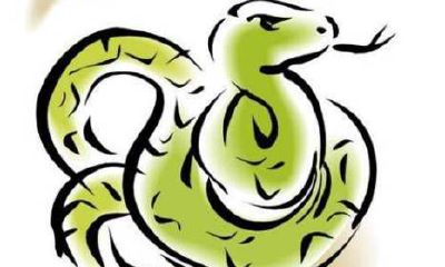 做梦梦见蛇，究竟代表什么意义？这个梦境所传递的隐喻、暗示和符号暗示是什么？您的梦想中所描绘的蛇，是否是好兆头或坏预兆？让我们深入探讨梦境中蛇的象征意义和精神含义吧！