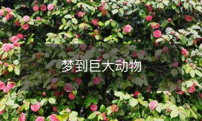 在睡梦中遭遇巨大动物的惊险体验：让人心驰神往又充满恐惧的奇幻之旅