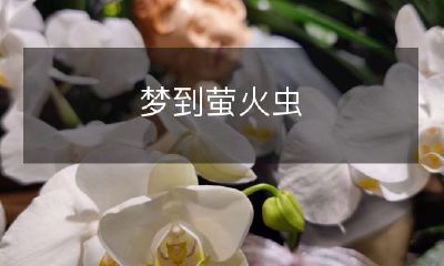 夜晚梦境中的奇妙体验：追逐萤火虫的幸福感觉