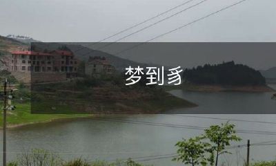 我梦到一个毛茸茸的豸，它的身上长着五颜六色的斑点，眼睛明亮而神秘，似乎象征着某种令人神往的梦境世界！