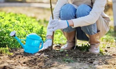 右眼角下方出现痣的女性：眼角痣相，会不会影响健康？