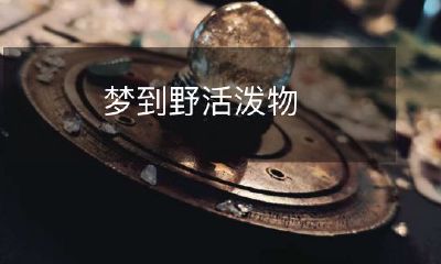 如何正确地解读并掌握你梦见野生活泼动物的含义：探讨从神秘主义到现代心理学的不同解释及应对策略