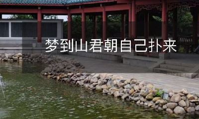 在梦中，我慑于山君的威势，惶恐不安地看着他慢慢地向我走来