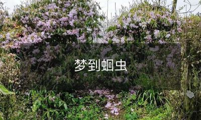 在梦中遭遇蛔虫的慑人经历：如何应对这种恶心的惊醒？