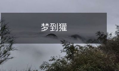 在夜晚的梦境中遇见了它——那个鬼魅般的獾，它带着神秘的灵性和神秘性遮掩自己，令人难以捉摸