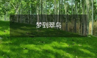 梦中的缤纷旋律：我在夜晚里飞舞，翠鸟的歌声像一股清新的山泉，在我的心中流淌