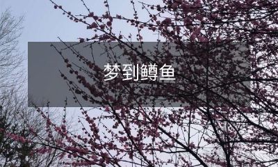在我入眠的夜晚，惊喜不断的梦境中，我竟偶然梦到了优美的鳟鱼游动在清澈的水中！