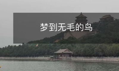 在梦中目睹身披光滑无毛羽毛的神奇鸟儿的奇妙经历