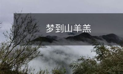 在梦中亲眼见证山顶上出现的一群可爱的小山羊羔：一场意外的田野奇遇大冒险