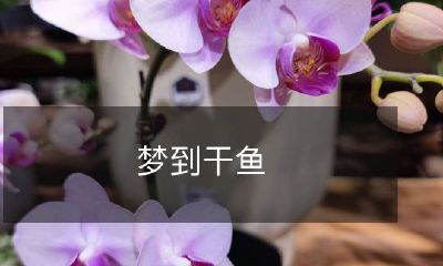 梦见捕鱼、烤鱼、吃鱼、卖鱼、交易鱼，种种与干鱼相关的活动缠绵梦境之中