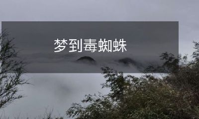 在梦中遭遇毒蜘蛛：一个令人毛骨悚然的夜晚奇遇记
