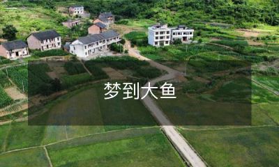 在清晨的梦境中，我沉浸于壮阔而神秘的水下世界，遇见巨大的鱼类生物：梦到巨大的鱼儿在深海纵横游动