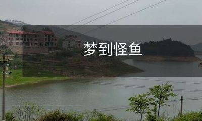 在梦境中遇见奇异多变的怪鱼，探究潜在的象征意义和心理寓意