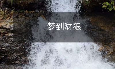 在梦中遭遇豺狼的惊险体验：真实与虚幻交织的头脑风暴