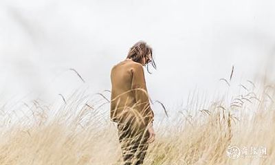 如何使用命运查询表计算一个人命的价值为几两几钱？