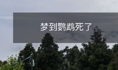 我做了一个梦，在梦中我看到了鹦鹉死去的场景
