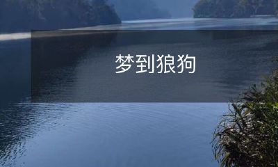 的梦境：在深山野林中遭遇狼狗，感受到的惊恐与迷茫