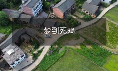 夜晚的幻想：突破常规梦境，探索生死之间的可能性，梦见摇晃的死亡鸡和难以解释的象征意义