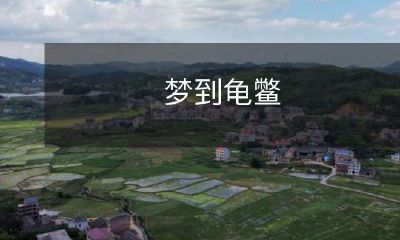 睡梦中遇见龟鳖：人类无法理解但却常常出现的神秘动物形象