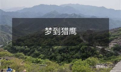 昨夜做梦：我在茫茫天空中追逐着美丽的猎鹰