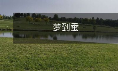 从梦中重生：我如何在蚕茧中度过一夜并领悟到生命的转变