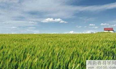 书房里适合摆什么摆件风水好 字画寓意很好