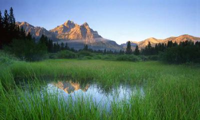 家中哪个位置适合挂鸿运当头国画