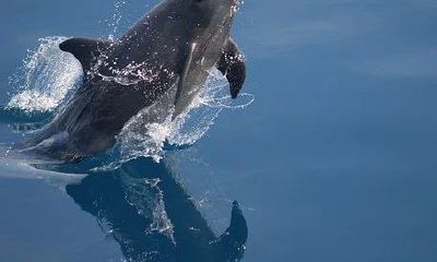 男孩应睡哪个房间风水好 孩子的房间最好布置在东方