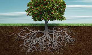 茶馆方面的风水禁忌